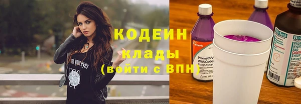 прущие грибы Новокубанск