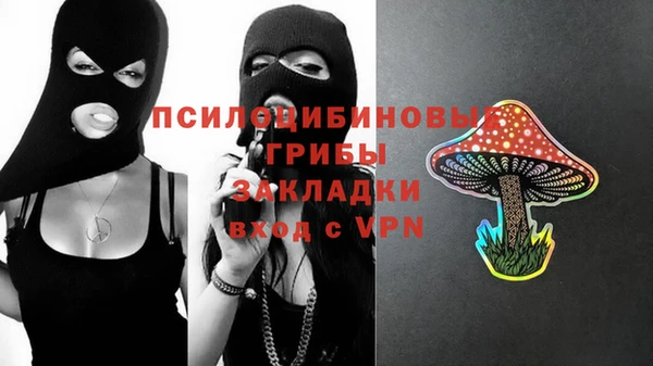 прущие грибы Новокубанск