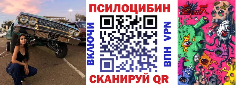 Псилоцибиновые грибы Cubensis blacksprut как войти Шали
