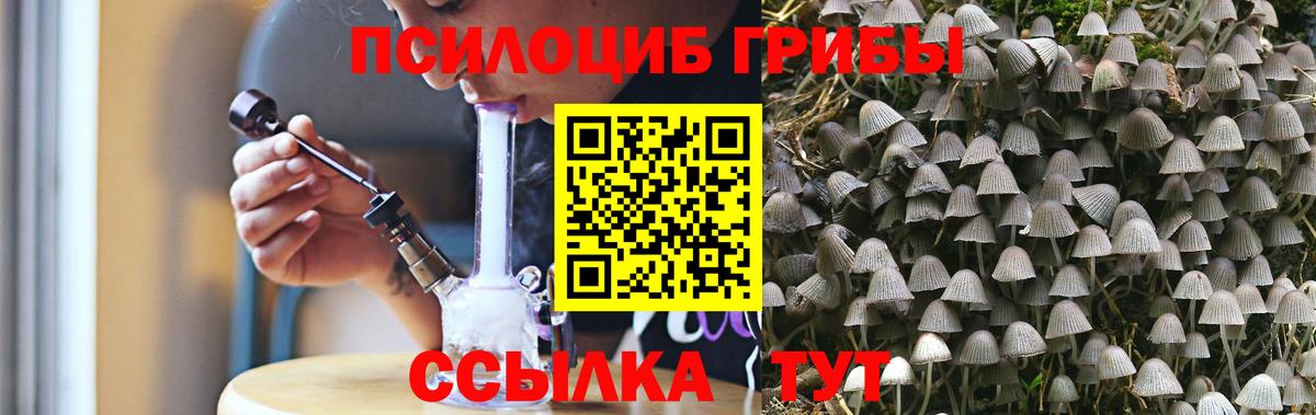 Шали  Галлюциногенные грибы прущие грибы  Вход с VPN  Псилоцибиновые грибы мицелий 